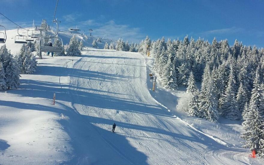 Apartment Snow Garden Kopaonik Exterior photo